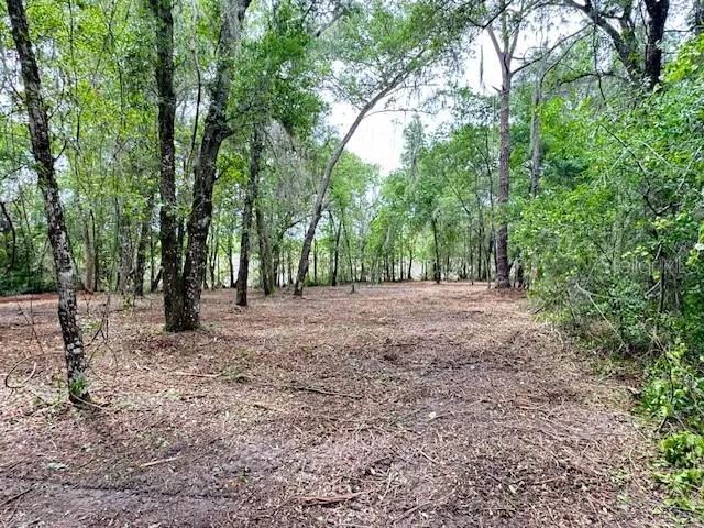 LOCUST RUN COURSE ocala, FL 34472