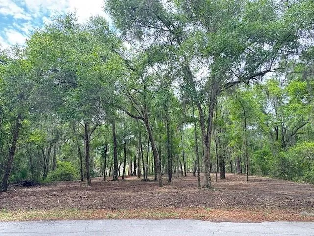LOCUST RUN COURSE ocala, FL 34472