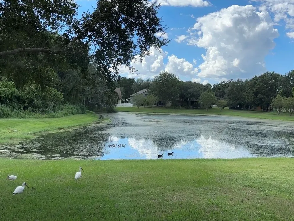 13016 TERRACE BROOK PLACE Temple Terrace, FL 33637