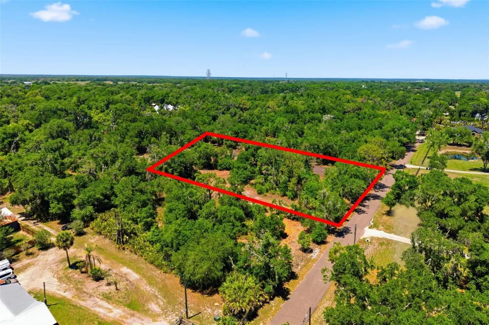 19084 RED BIRD LANE #LOT 1 Lithia, FL 33547
