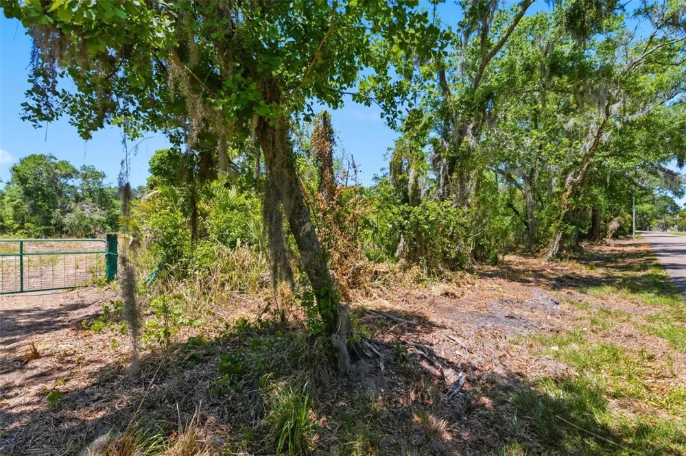 19084 RED BIRD LANE #LOT 1 Lithia, FL 33547