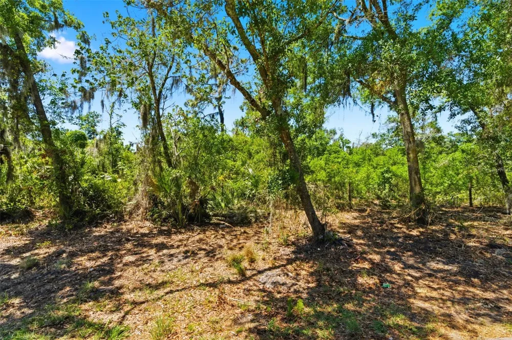 19084 RED BIRD LANE #LOT 1 Lithia, FL 33547