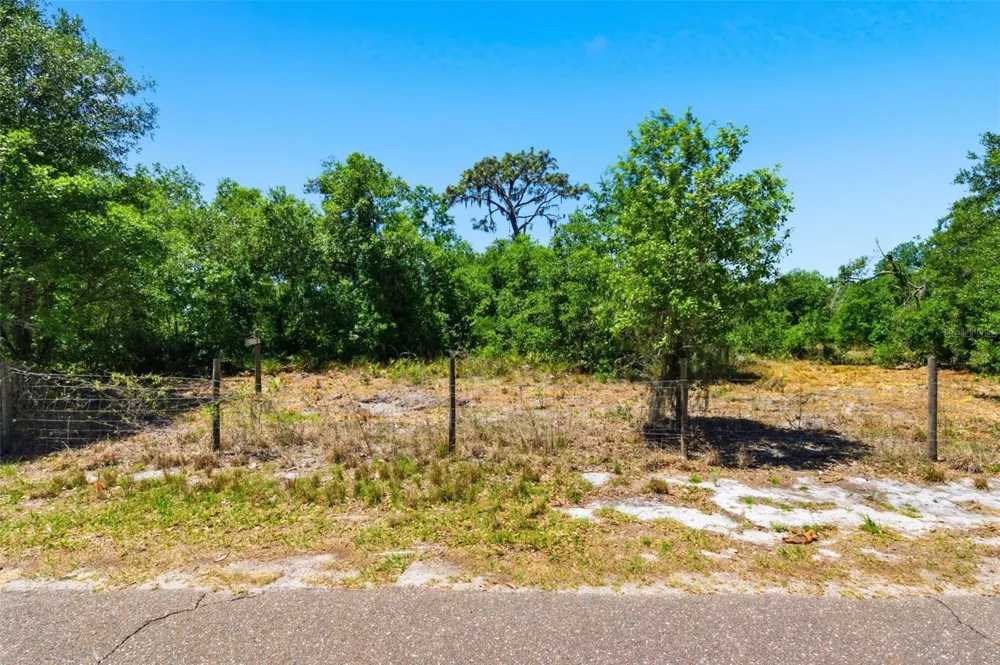 19084 RED BIRD LANE #LOT 2 Lithia, FL 33547
