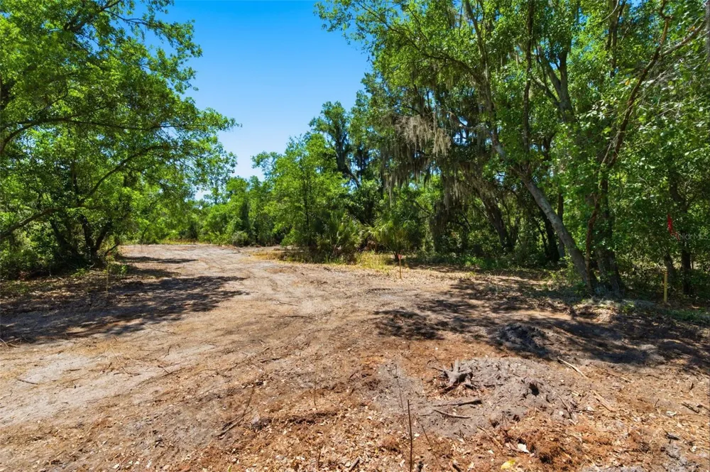 19084 RED BIRD LANE #LOT 4 Lithia, FL 33547