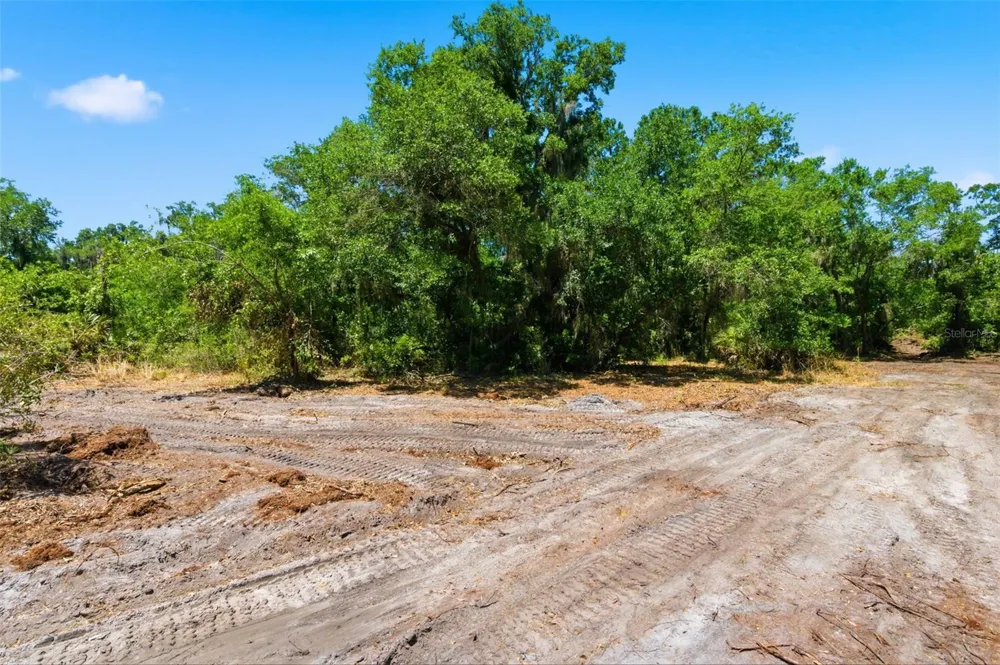 19084 RED BIRD LANE #LOT 4 Lithia, FL 33547