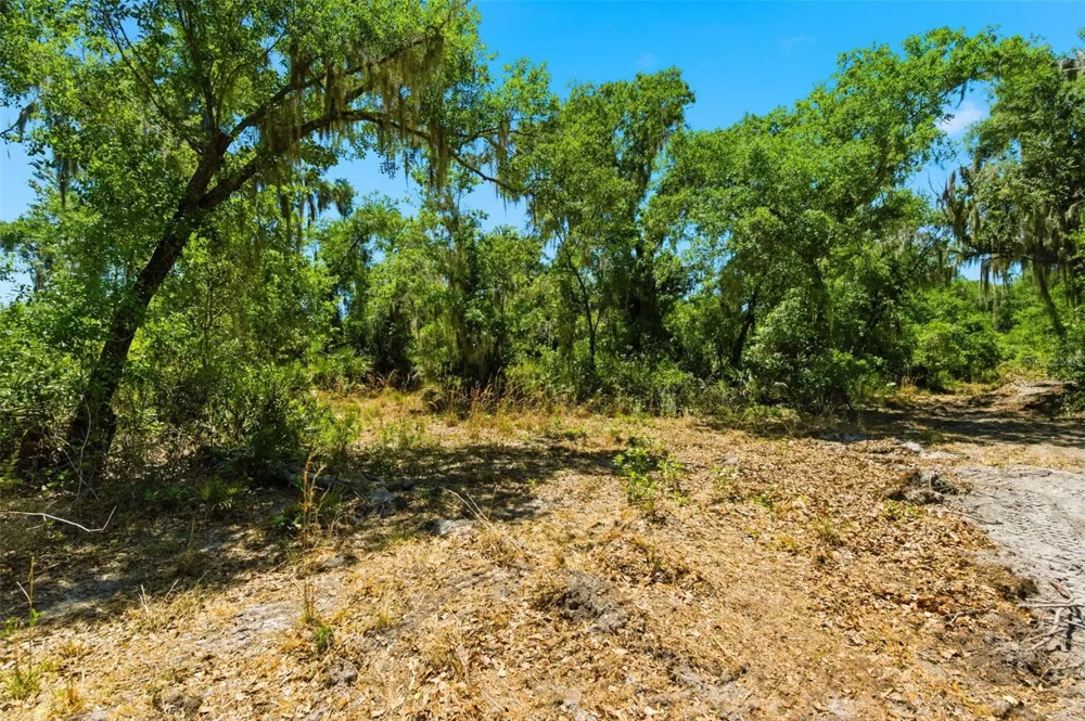 19084 RED BIRD LANE #LOT 4 Lithia, FL 33547