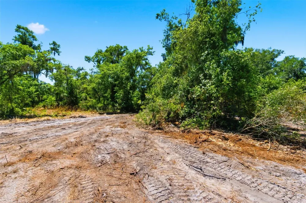 19084 RED BIRD LANE #LOT 4 Lithia, FL 33547