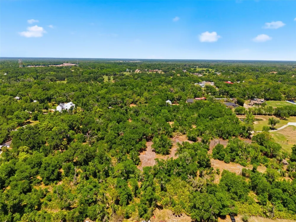 19084 RED BIRD LANE #LOT 4 Lithia, FL 33547