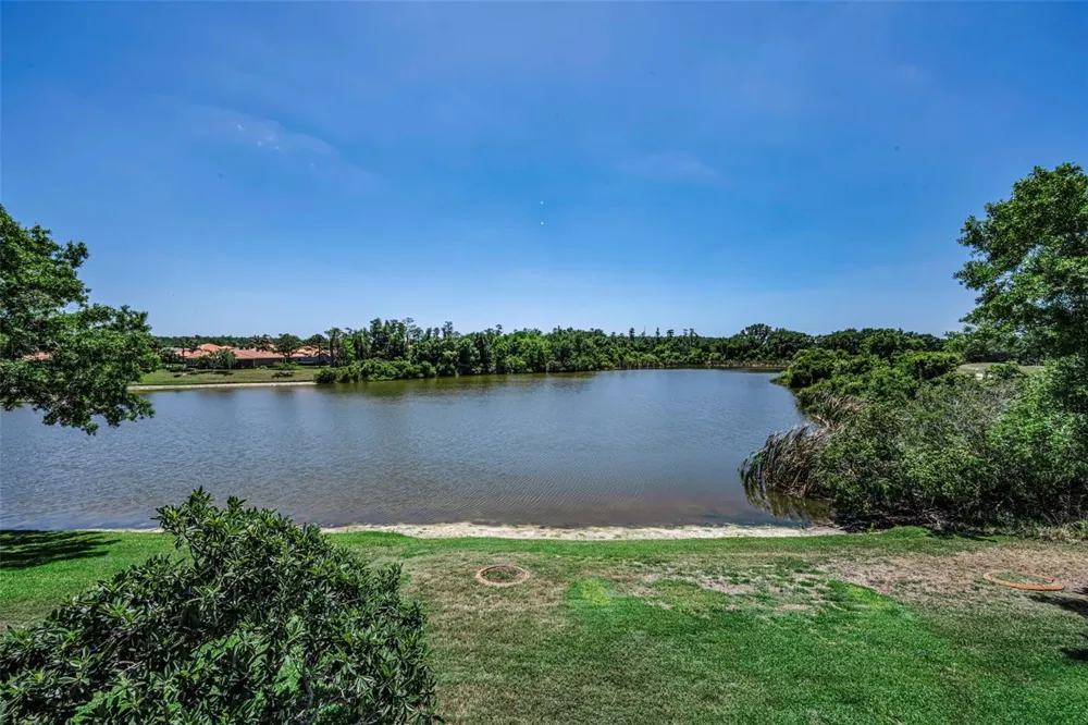 10706 RUFFINO COURT Trinity, FL 34655