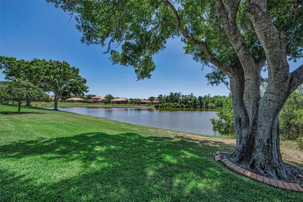 10706 RUFFINO COURT Trinity, FL 34655