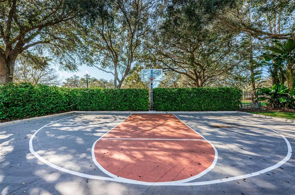 10706 RUFFINO COURT Trinity, FL 34655