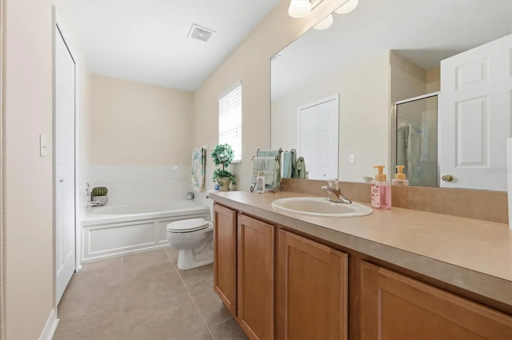 25831 SYME COURT Land O Lakes, FL 34639