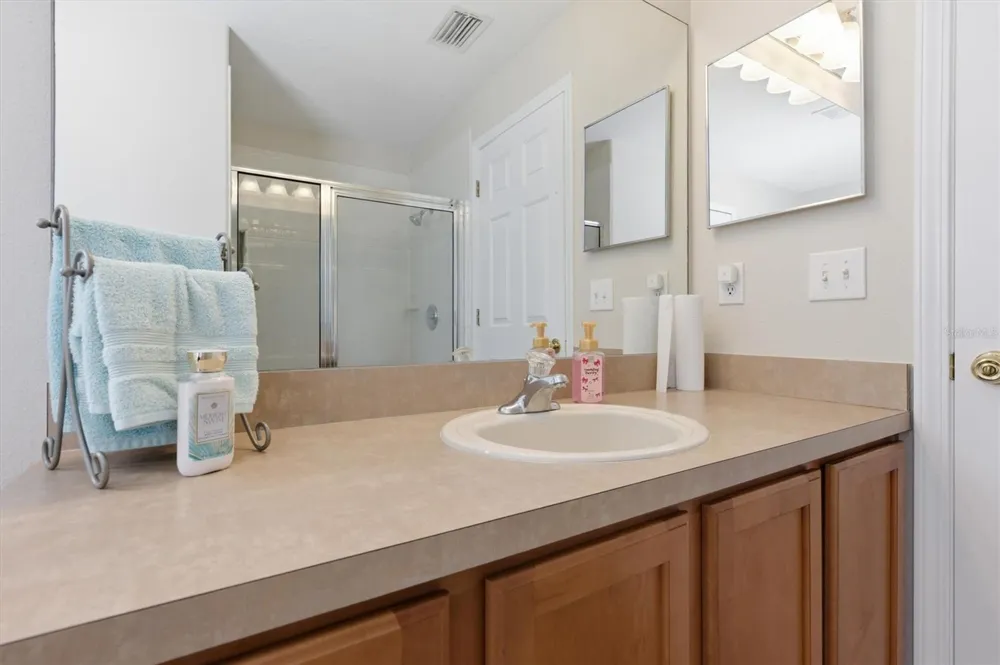 25831 SYME COURT Land O Lakes, FL 34639