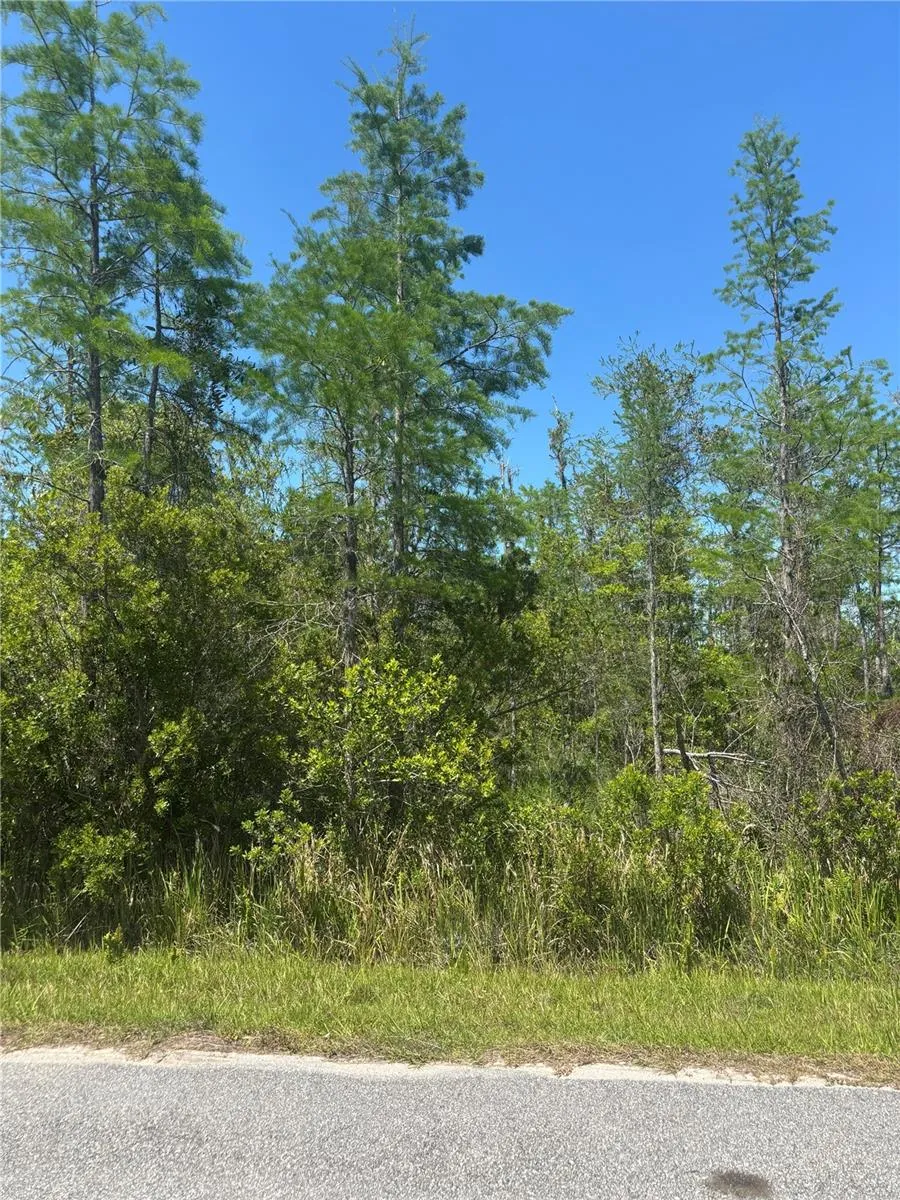 ATLAS DRIVE St Cloud, FL 34773
