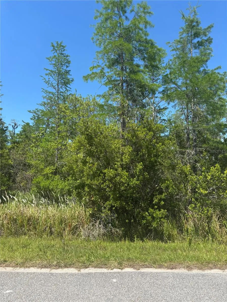 ATLAS DRIVE St Cloud, FL 34773