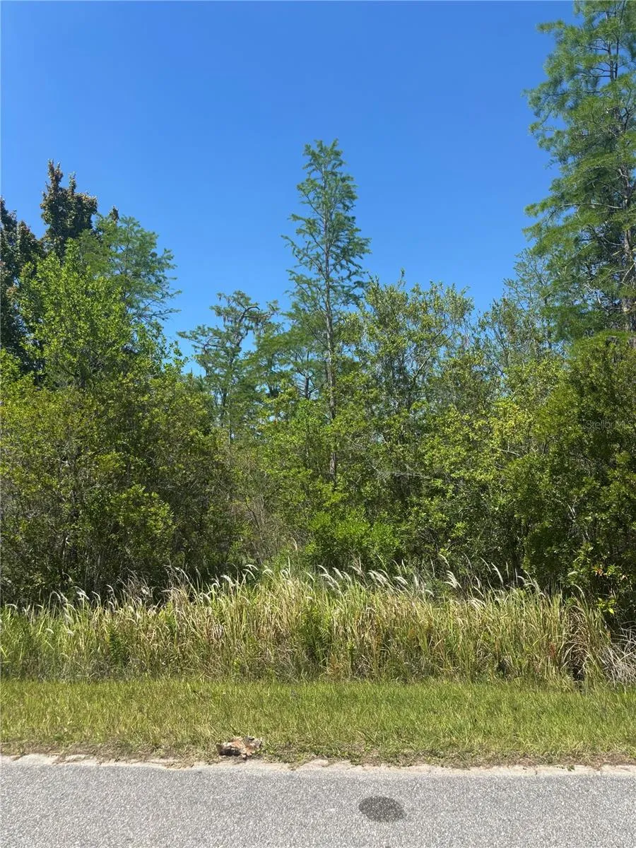 ATLAS DRIVE St Cloud, FL 34773
