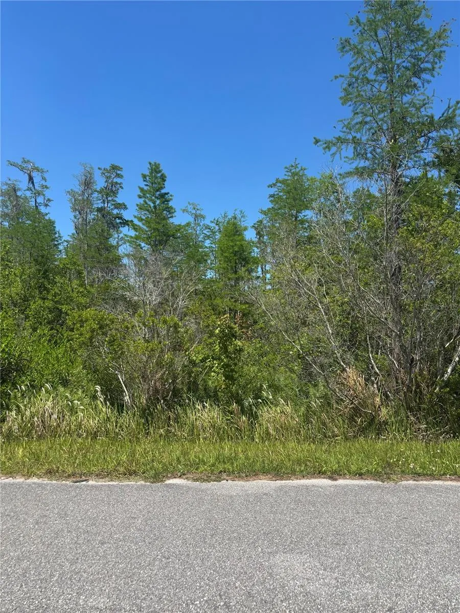 ATLAS DRIVE St Cloud, FL 34773