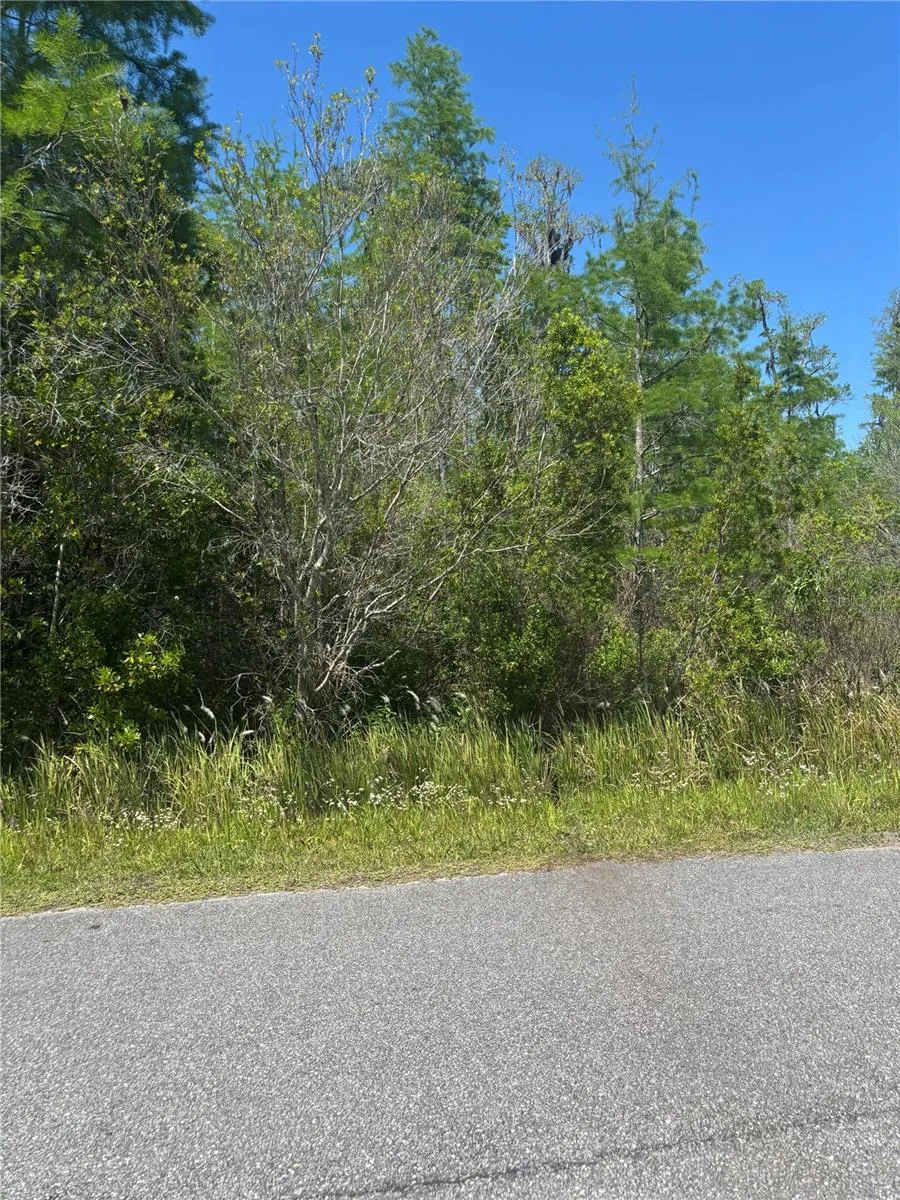 ATLAS DRIVE St Cloud, FL 34773
