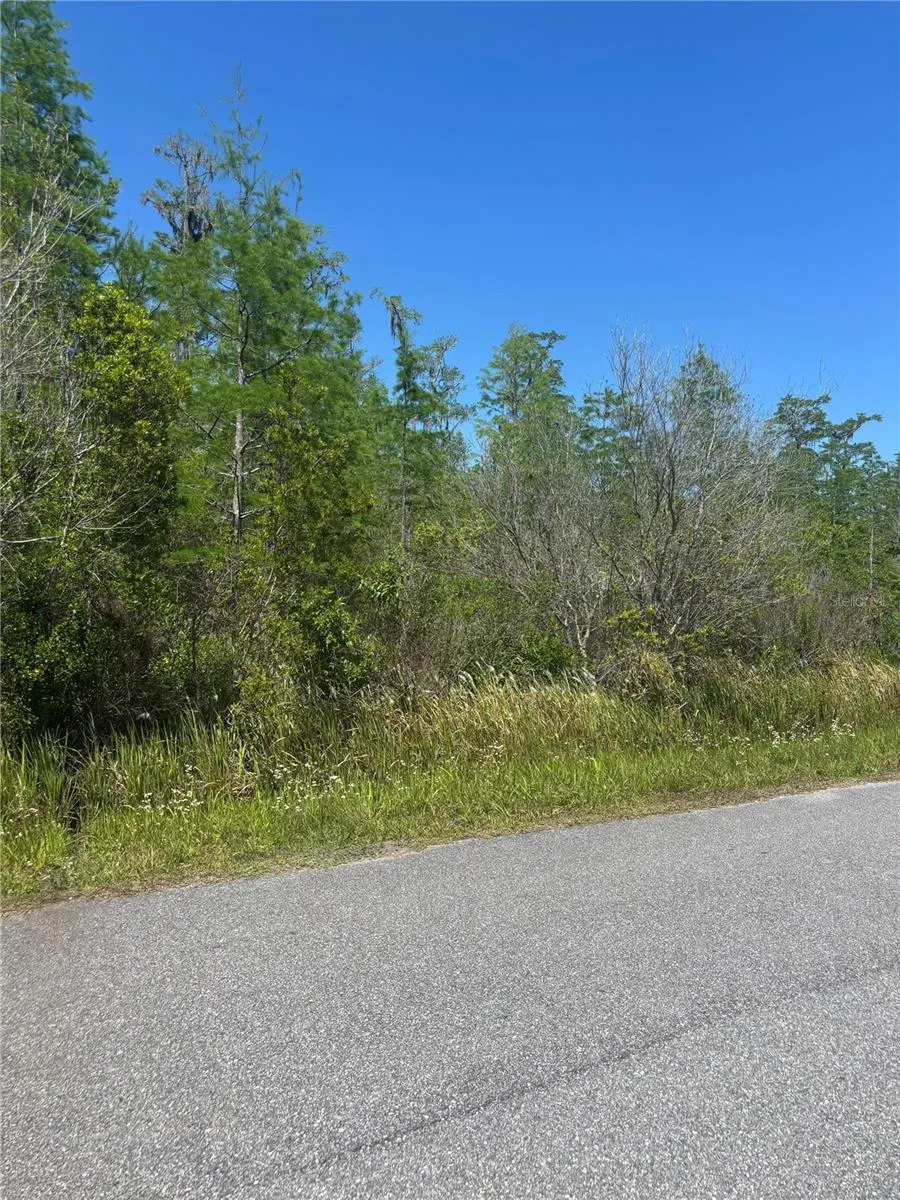 ATLAS DRIVE St Cloud, FL 34773