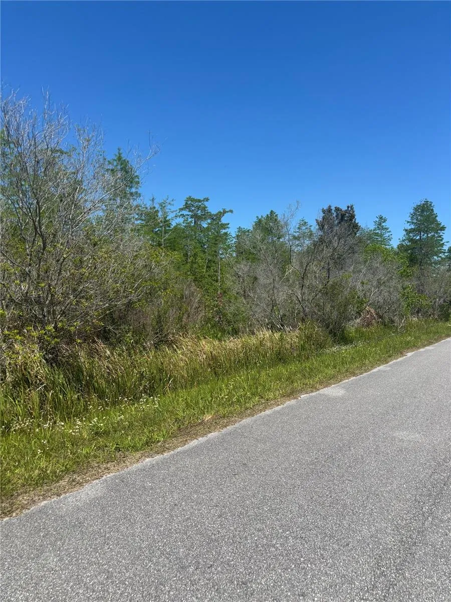 ATLAS DRIVE St Cloud, FL 34773