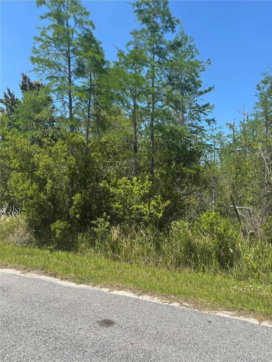 ATLAS DRIVE St Cloud, FL 34773