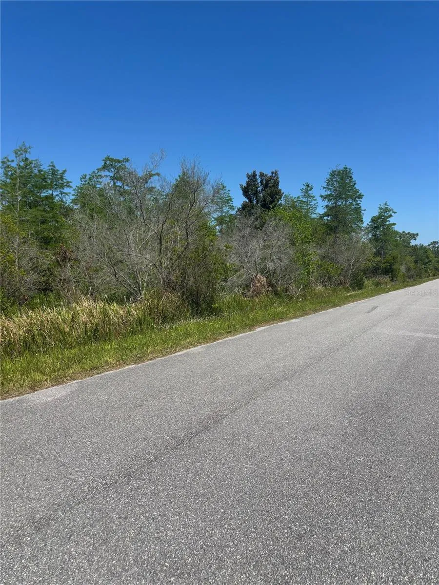 ATLAS DRIVE St Cloud, FL 34773