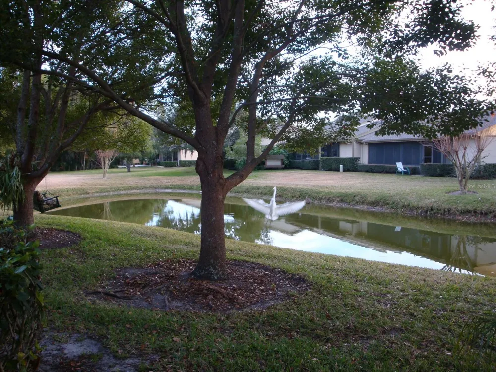 70 JOANNE PLACE #70 Oldsmar, FL 34677