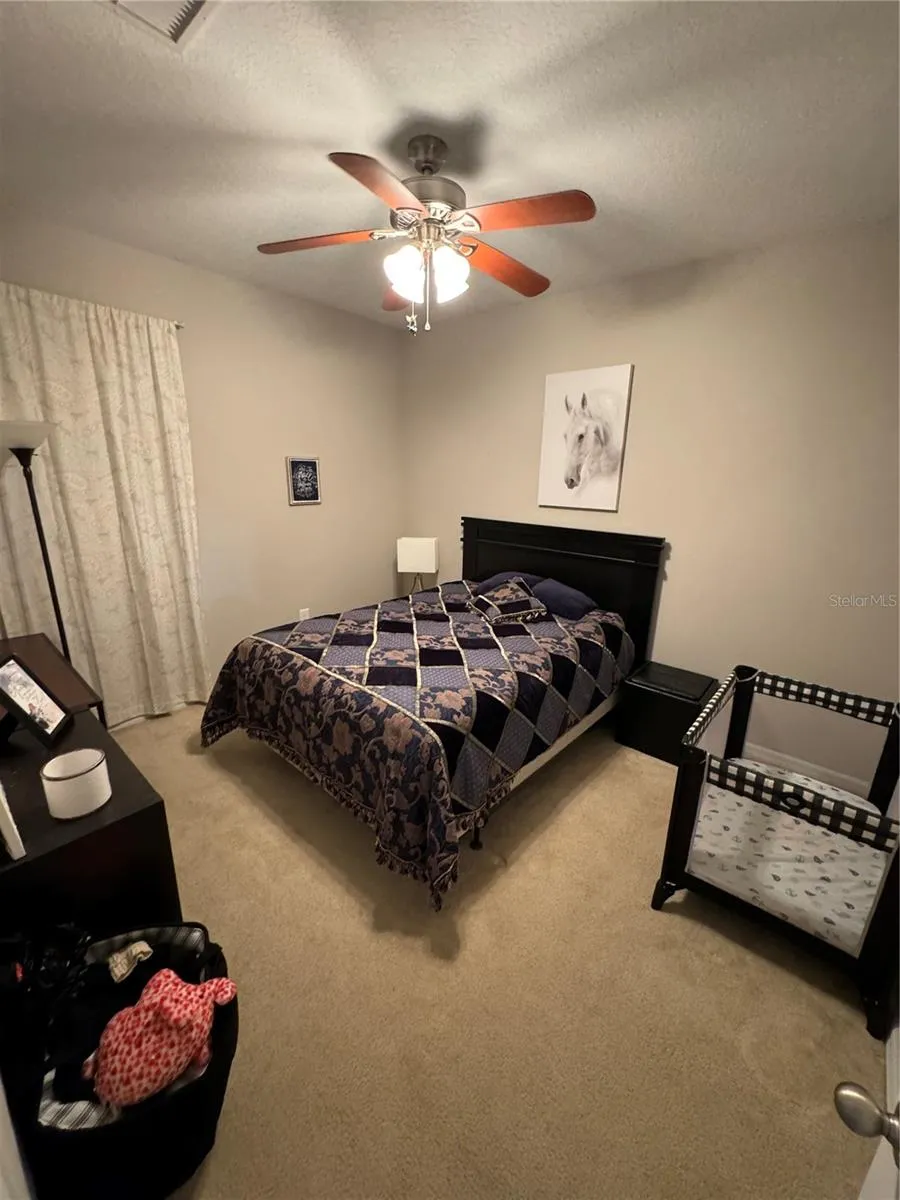 2514 CROSS MORE STREET Valrico, FL 33594