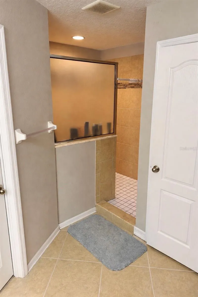 2514 CROSS MORE STREET Valrico, FL 33594