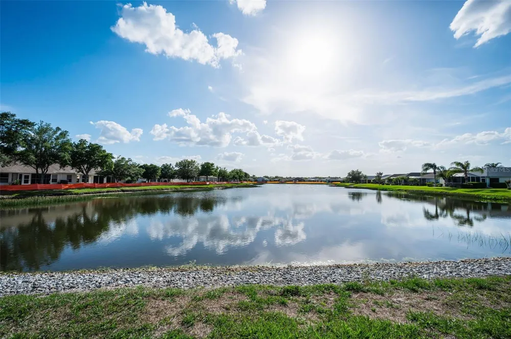 1933 ARBOR KNOLL LOOP Trinity, FL 34655