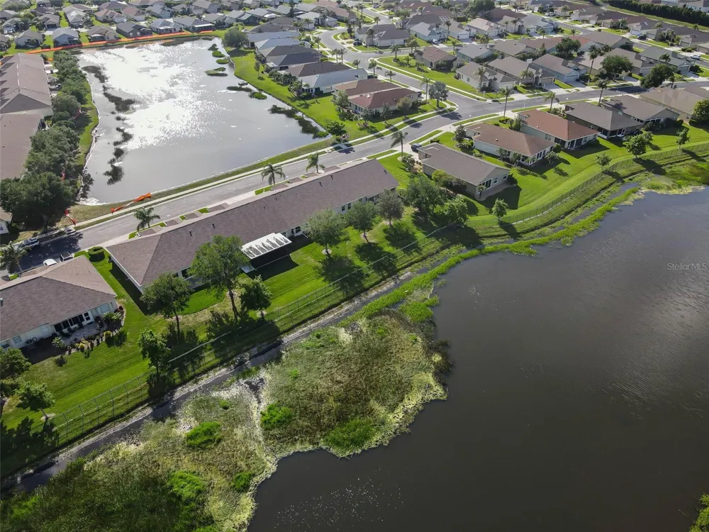 1933 ARBOR KNOLL LOOP Trinity, FL 34655