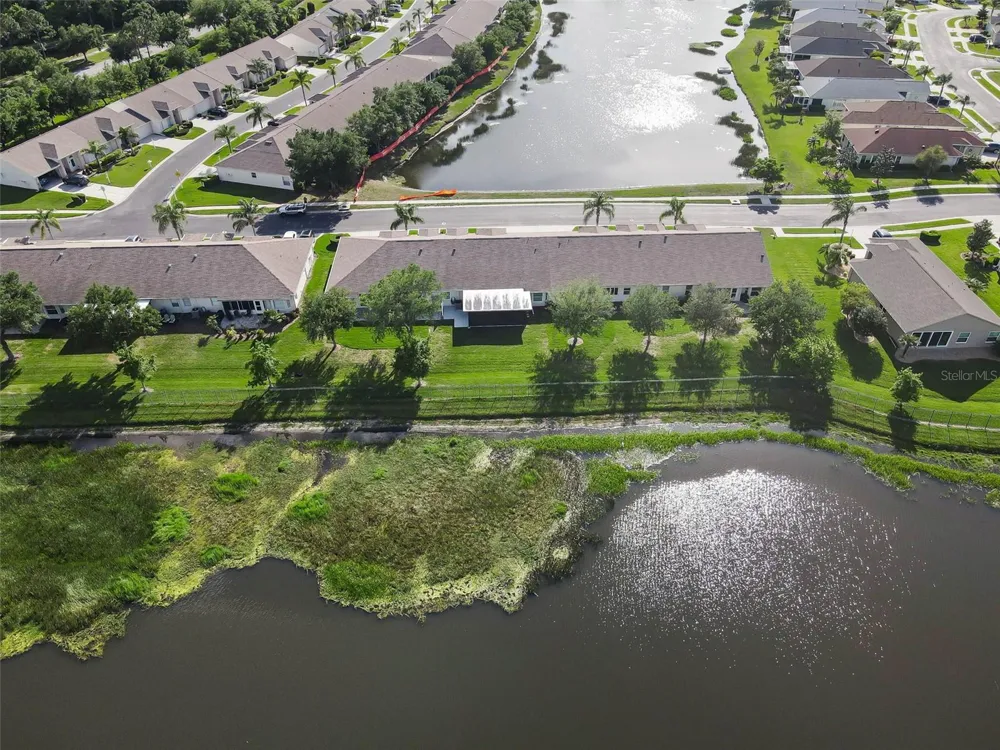1933 ARBOR KNOLL LOOP Trinity, FL 34655