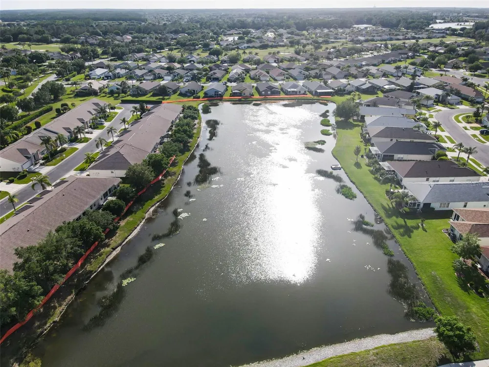 1933 ARBOR KNOLL LOOP Trinity, FL 34655