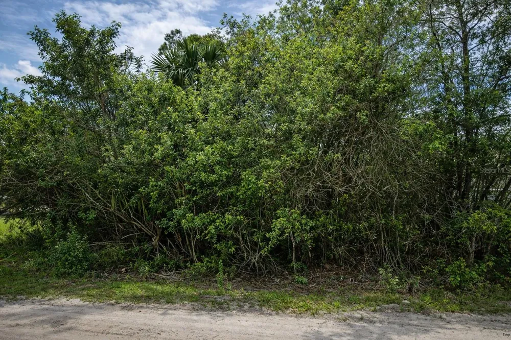 3342 FITZPATRICK AVENUE SW Palm Bay, FL 32908