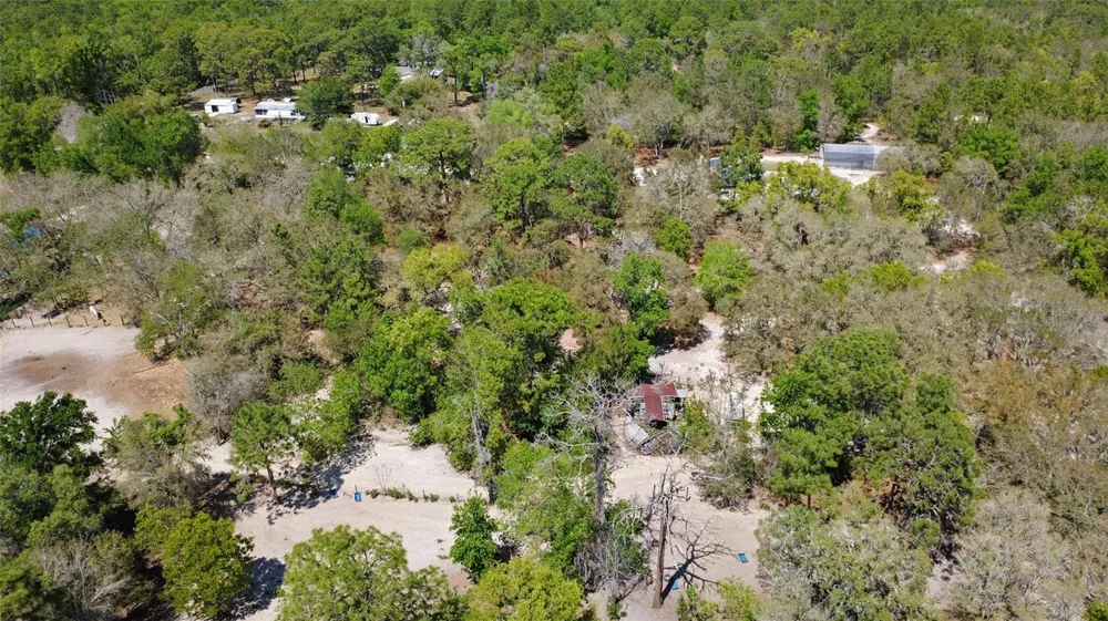 589 S LEONA AVENUE Lecanto, FL 34461
