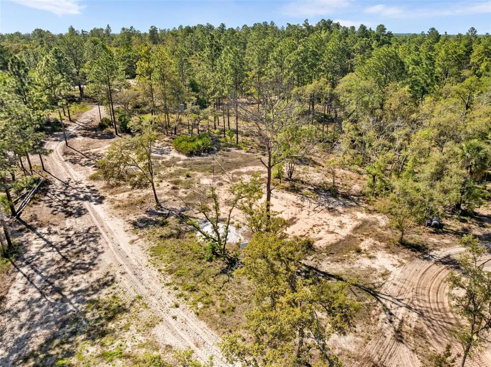 25723 BAREVA ROAD Weeki Wachee, FL 34614