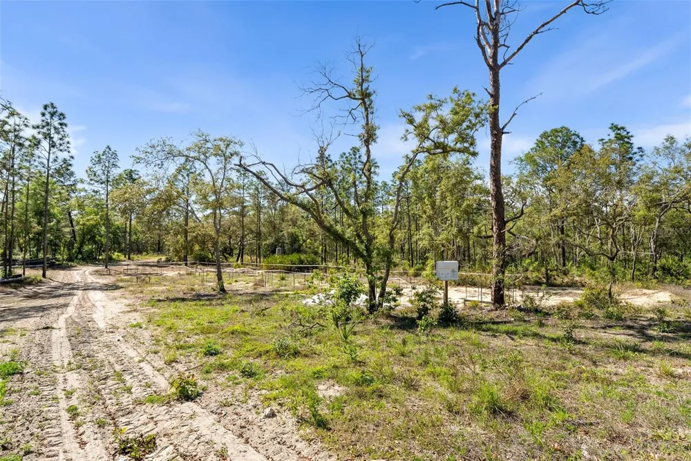 25723 BAREVA ROAD Weeki Wachee, FL 34614