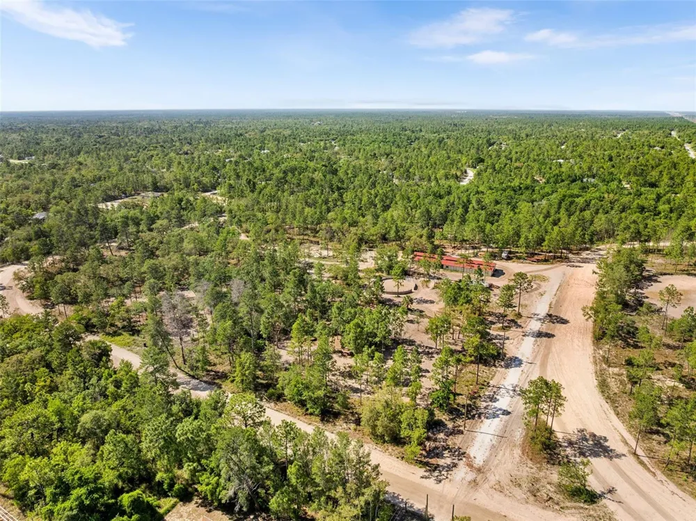25723 BAREVA ROAD Weeki Wachee, FL 34614