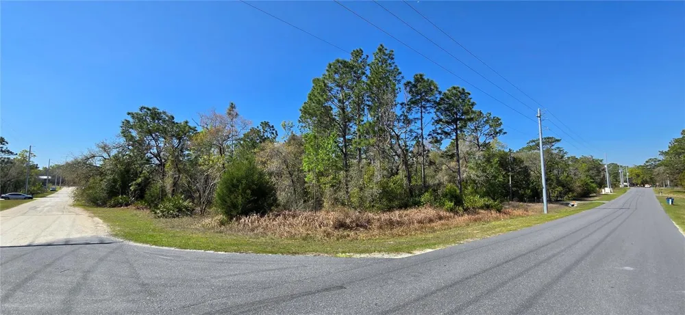 12398 RUFFED GROUSE ROAD Weeki Wachee, FL 34614