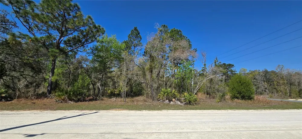12398 RUFFED GROUSE ROAD Weeki Wachee, FL 34614