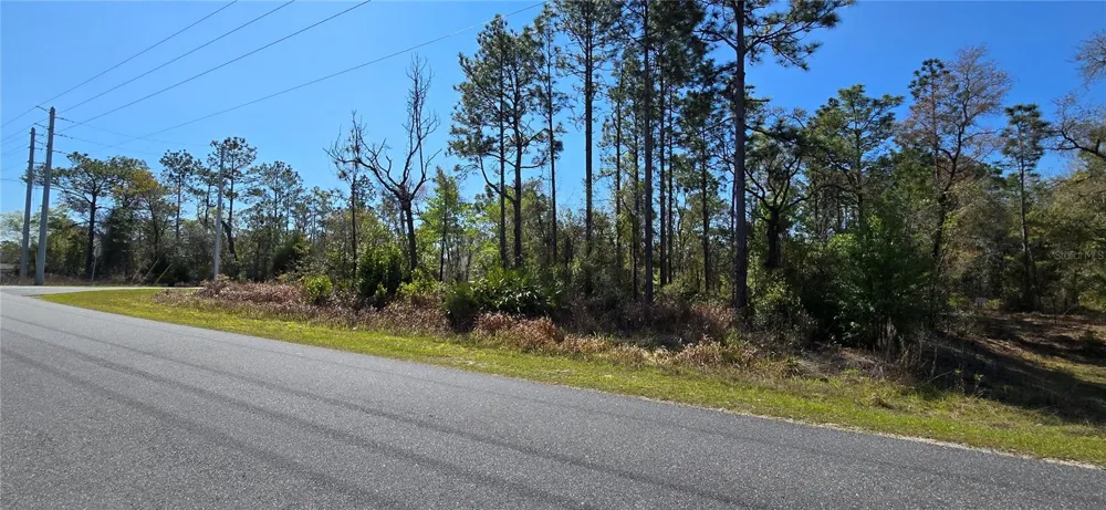 12398 RUFFED GROUSE ROAD Weeki Wachee, FL 34614