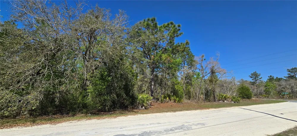 12398 RUFFED GROUSE ROAD Weeki Wachee, FL 34614