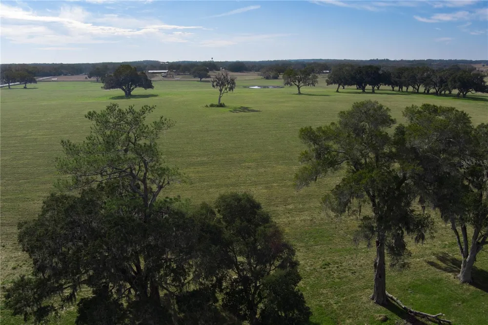 TBD NW GAINESVILLE ROAD Reddick, FL 32686