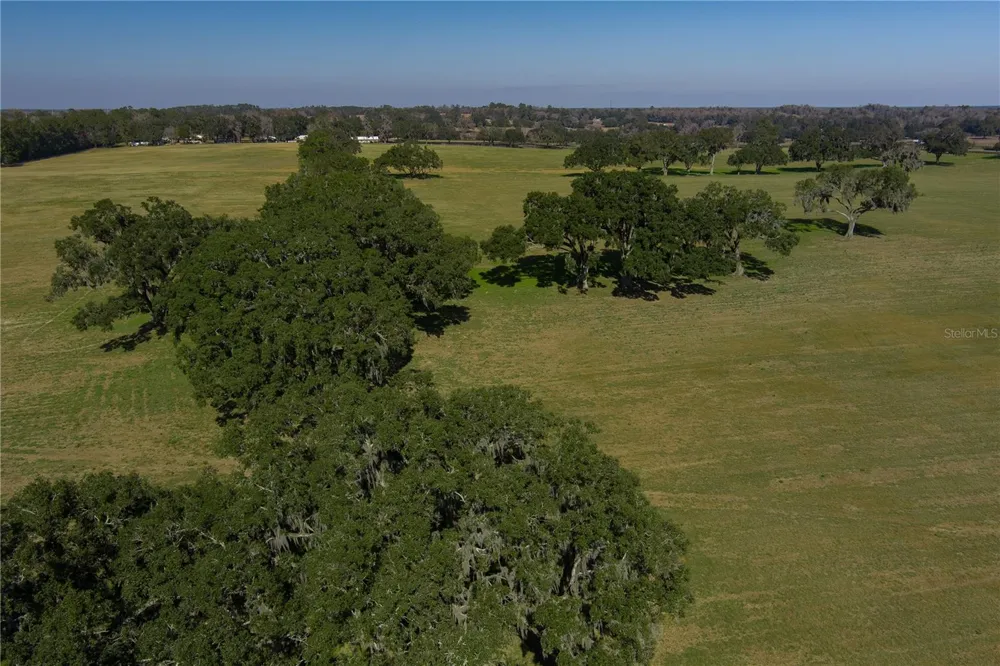 TBD NW GAINESVILLE ROAD Reddick, FL 32686