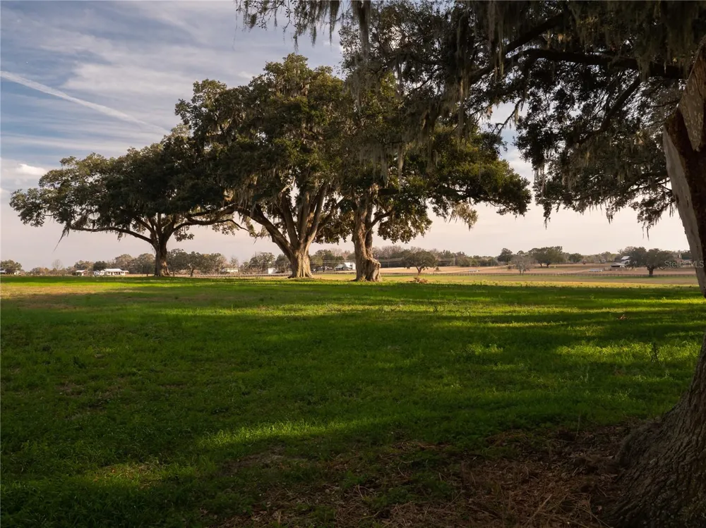 TBD NW GAINESVILLE ROAD Reddick, FL 32686
