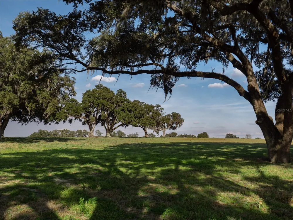 TBD NW GAINESVILLE ROAD Reddick, FL 32686