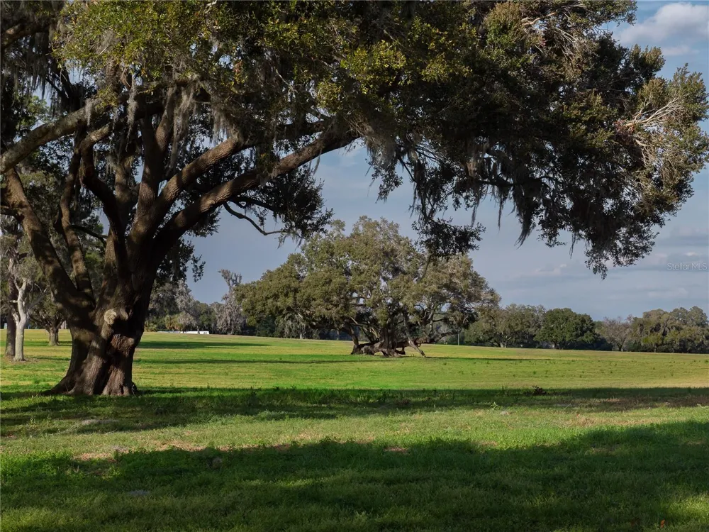 TBD NW GAINESVILLE ROAD Reddick, FL 32686