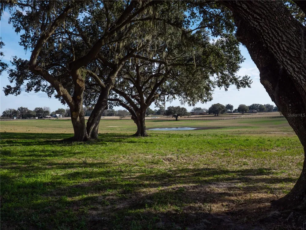 TBD NW GAINESVILLE ROAD Reddick, FL 32686