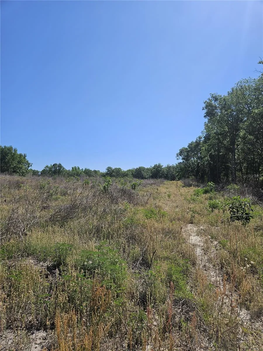 000 SW MIXSON ROAD Lake City, FL 32024