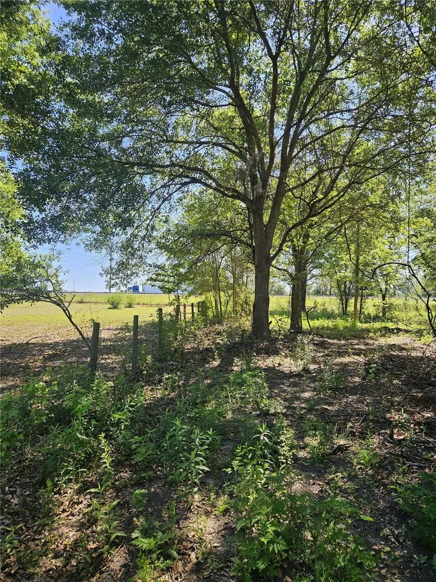 000 SW MIXSON ROAD Lake City, FL 32024